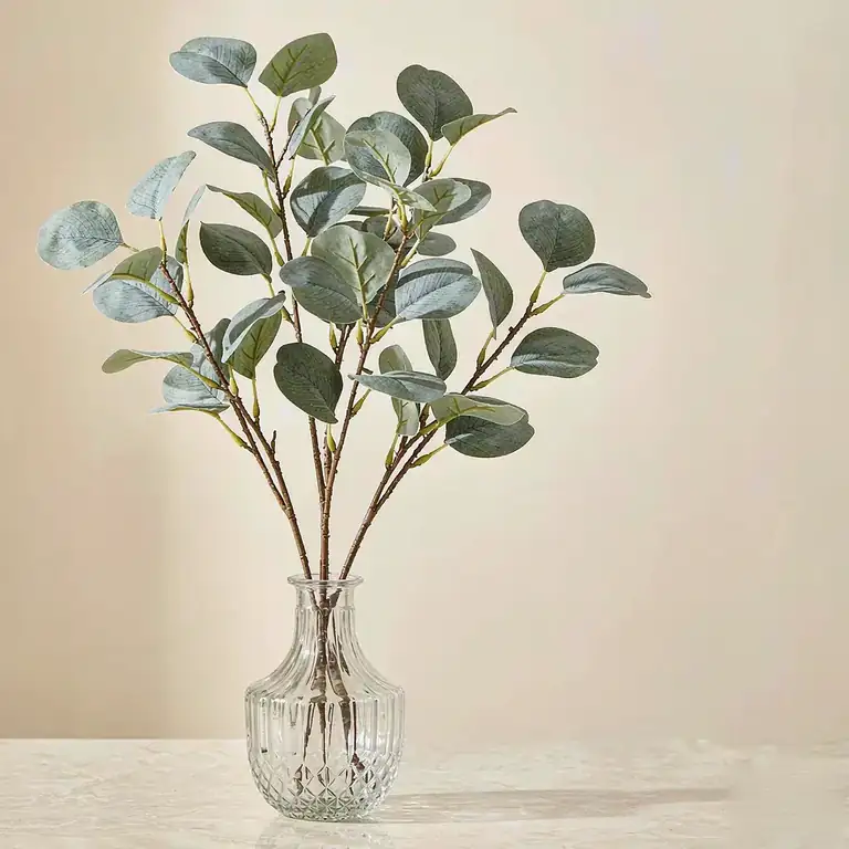 Eucalyptus Stems — Set of 5