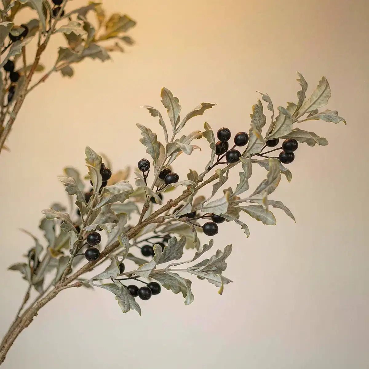 Close-up of faux olive branches with silver-green leaves and small black olives